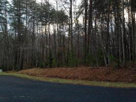 Lot 423 Fairway DR
