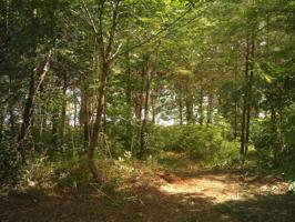 LOT 120 ISLAND POINTE DR