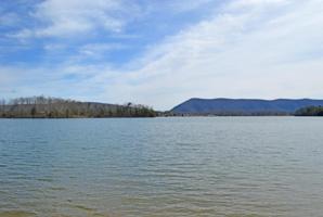 Lot 17 Summer LN