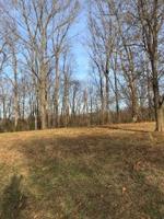 Lot 45 Cambridge CT