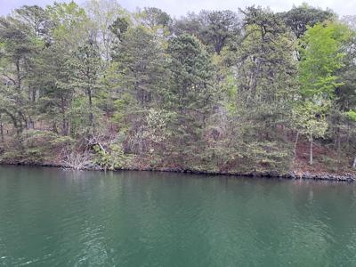 Lot 105 Mountwood DR