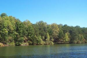 Lot 18 Waterford DR