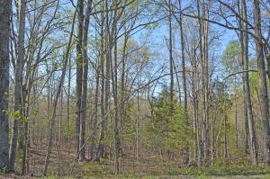 Lot 35 Trading Post RD