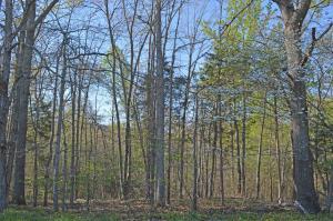 Lot 36 Trading Post RD