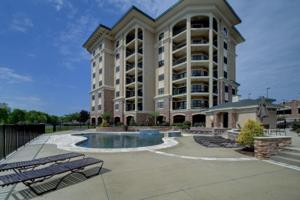 100 Bridgewater Pointe PL Unit #501
