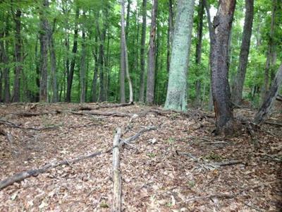 Lot 96 Chestnut DR