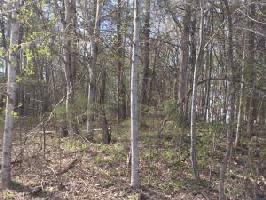 Lot 4 HOUSMAN FARM LN