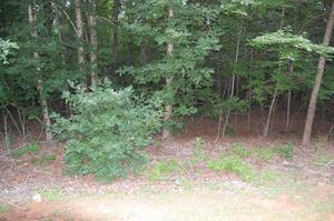 Lot 54 Gap Bridge RD
