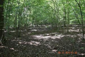 Lot 6 Pleasant Ridge DR