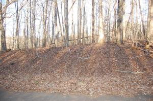 Lot 90 Summerset DR