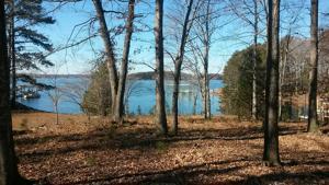 Lot 3 Anthony Ford RD