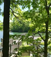 Lot 7 Mountain Vista DR