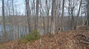 Lot 79 Old Mill DR
