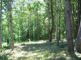 Lot 10 Binnacle DR