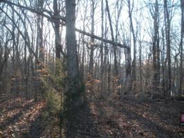 Lot #L-27 Lot 27 CARLOS RD