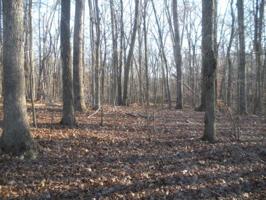 Lot #L-30 Lot 30 STANDIFORD RD