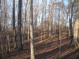 Lot #L-32 Lot 32 STANDIFORD RD
