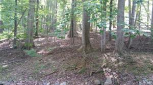 Lot 13 Waterside DR