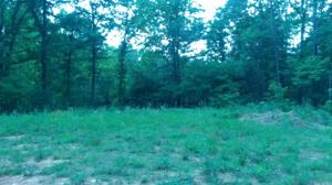 Lot #2 & 3 Nottingham LN