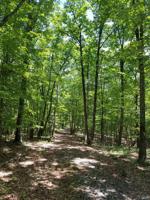 Lot 374 Mt Airy RD
