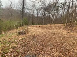 141 Afton LN
