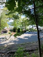 Lot 105 Nature LN