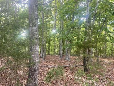 Lot 19 Robin Ridge CT