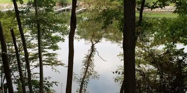 Image 3: waterside pic 4