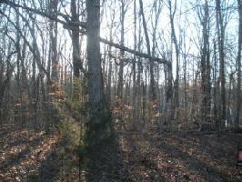 Lot 27 Carlos RD