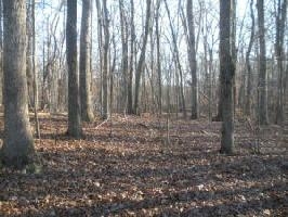 Lot 30 Standiford RD
