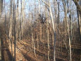 Lot 32 Standiford RD