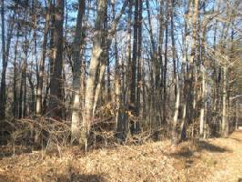 Lot 33 Standiford RD
