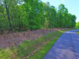Lot #50 & 51 GAP BRIDGE RD