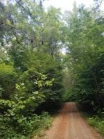 Lot #Tract 8 & 9 Holyfield LN