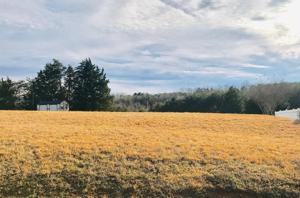 Lot 68 Sunny Field RD