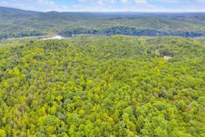 Lot 15A Faith Cove DR