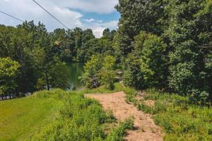Lot I Left Fork LN