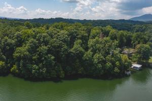 Lot C Graham Morris LN