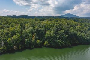 Lot D Graham Morris LN