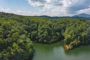 Lot F Graham Morris LN
