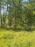 Lot 17 Congressional WAY
