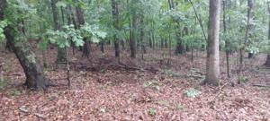 Lot 1 Charmwood CIR