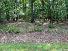 Lot 53 Gap Bridge RD