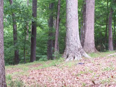 Lot 10 Whisperridge CT
