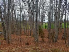 Lot 218-A Hunterwood CIR