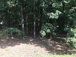 Lot 35 Island Pointe LN