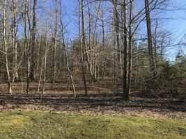Lot 7 DIDDEE CT