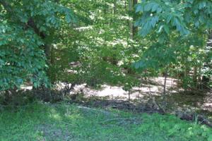 Lot 7 Little Creek RD
