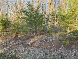 Lot 135 Harbor Landing DR