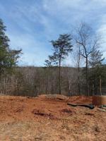 Lot 60 Lakewatch CIR